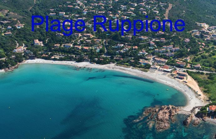 Vue Mer Panoramique Plage 50M Porticcio Corse Buitenkant foto