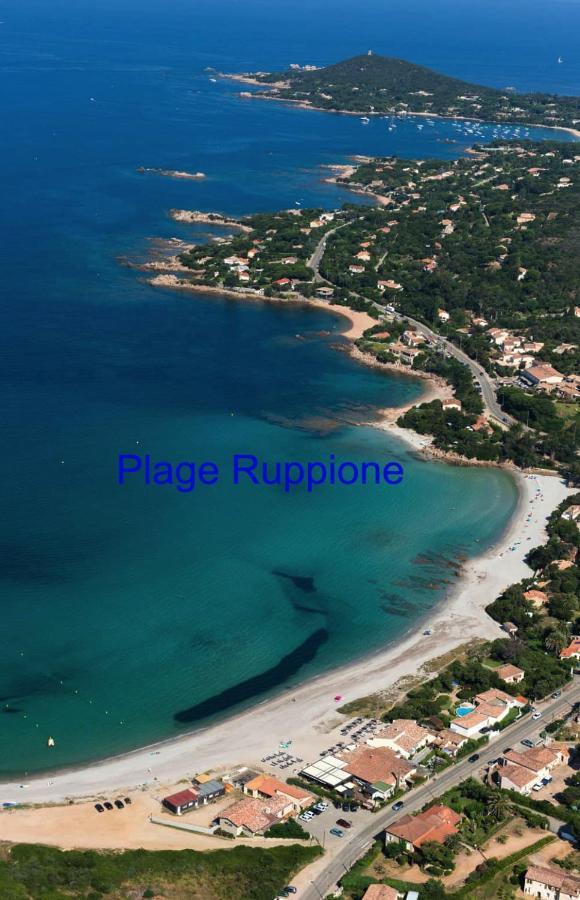 Vue Mer Panoramique Plage 50M Porticcio Corse Buitenkant foto